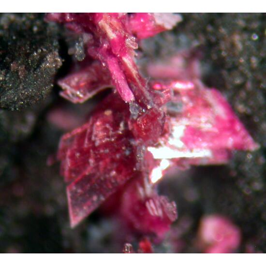 Cobaltkoritnigite & Erythrite