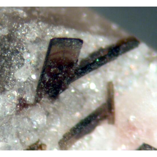 Allanite-(Ce) & Gadolinite-(Y)