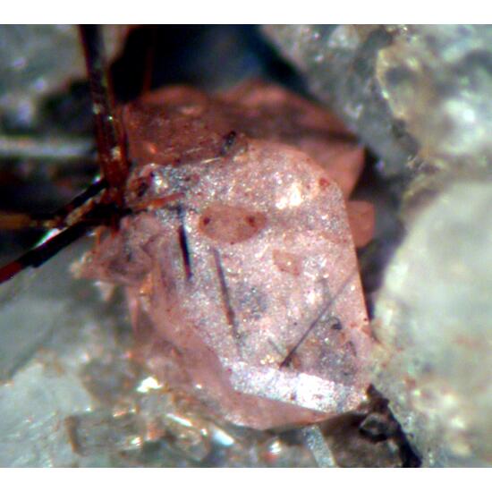 Monazite-(Ce) & Rutile