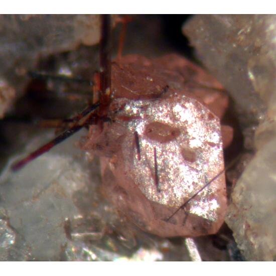 Monazite-(Ce) & Rutile