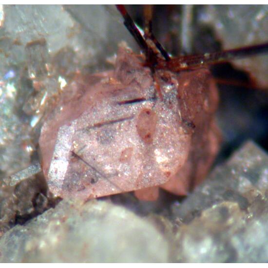 Monazite-(Ce) & Rutile