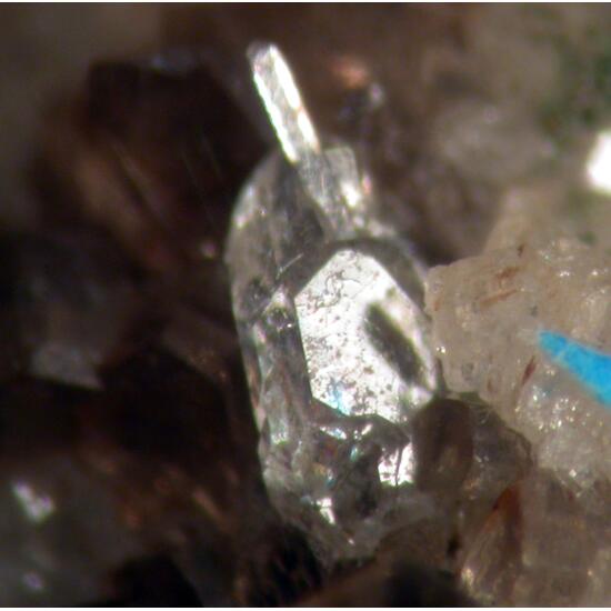 Apatite Muscovite & Titanite