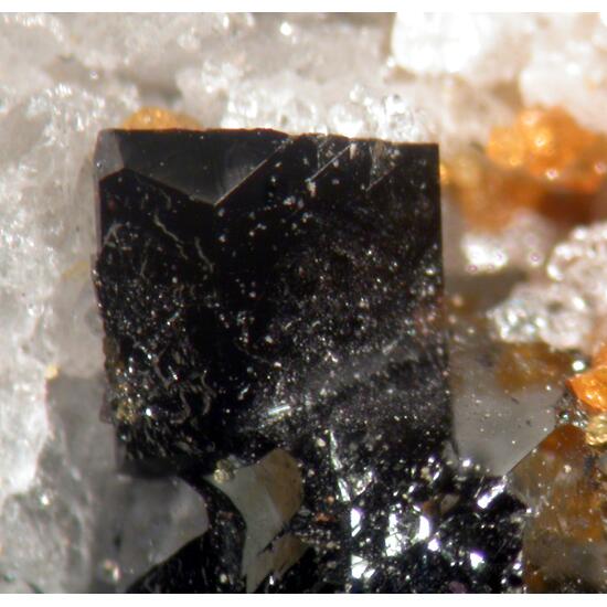 Hausmannite & Garnet