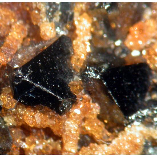 Hausmannite & Garnet