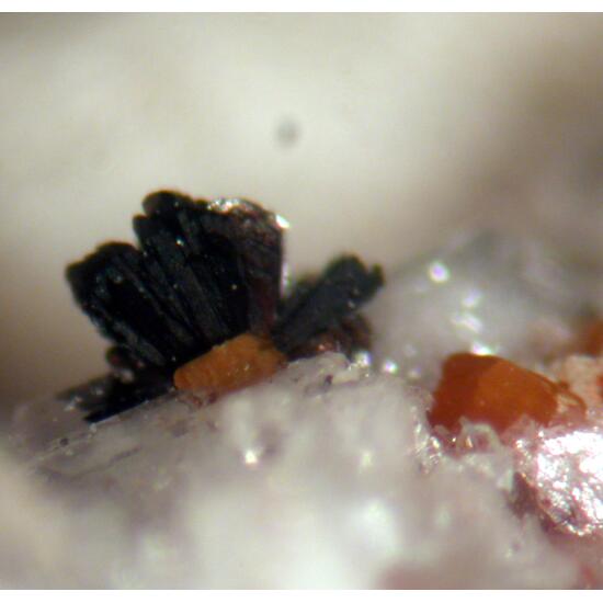 Aeschynite-(Y) & Allanite-(Ce)
