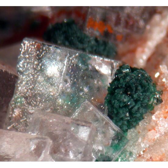 Cornwallite & Fluorite