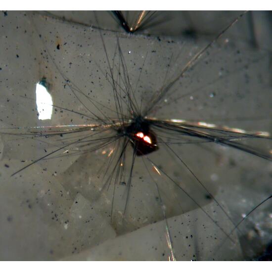 Millerite Dolomite & Chalcopyrite