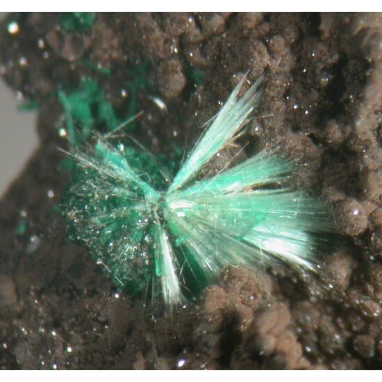 Agardite-(Y)