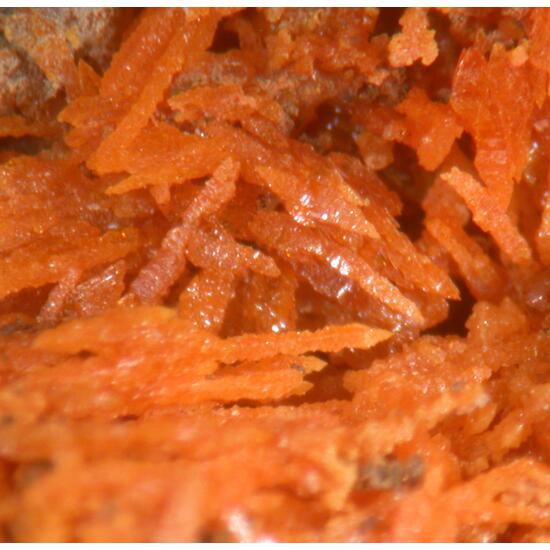 Wulfenite & Vanadinite