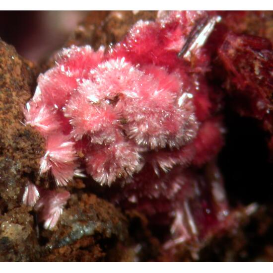 Erythrite