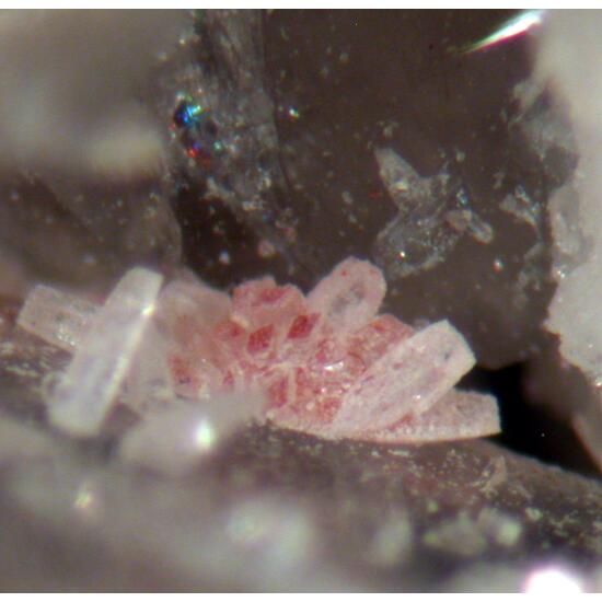 Kainosite-(Y) & Quartz