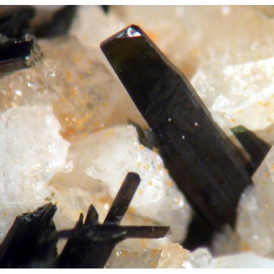 Aegirine Astrophyllite & Zircon