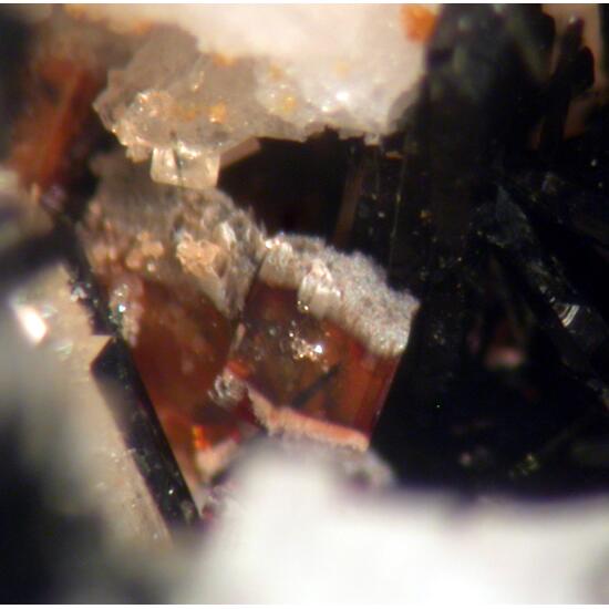 Aegirine Astrophyllite & Zircon