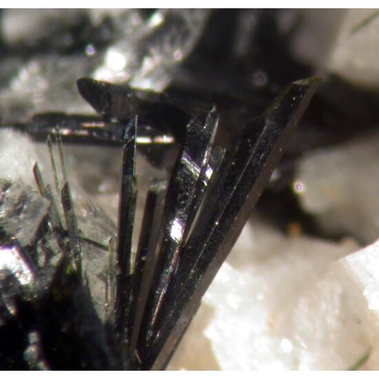 Aegirine Astrophyllite & Zircon