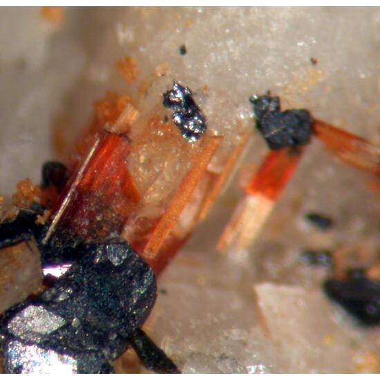 Aegirine Astrophyllite & Zircon