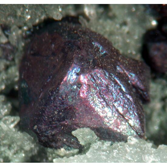 Bornite
