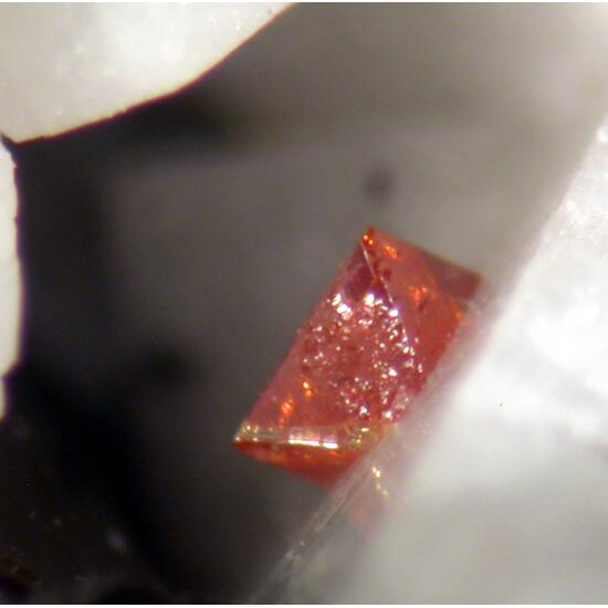 Fluornatropyrochlore & Ferro-katophorite