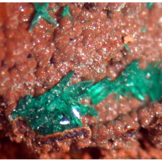 Brochantite & Bariopharmacosiderite