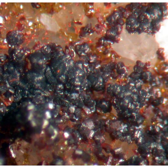 Segnitite & Lepidocrocite