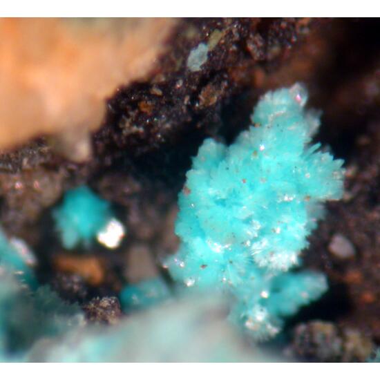 Posnjakite & Devilline