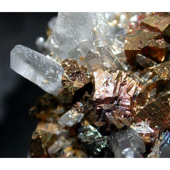 Chalcopyrite & Quartz