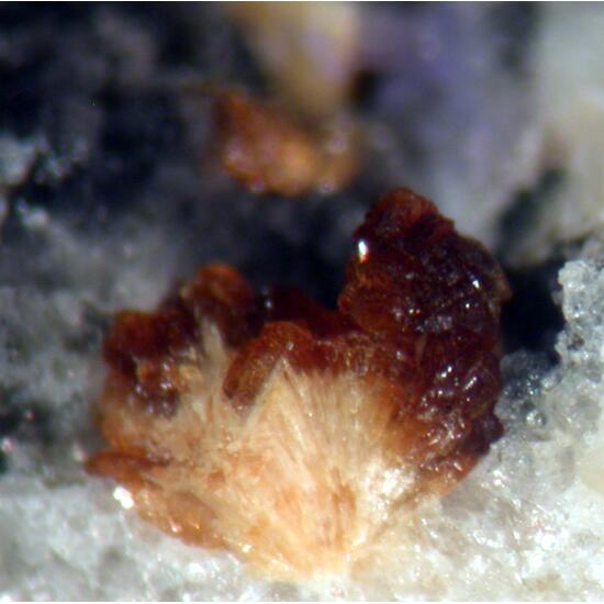 Gordonite & Jahnsite