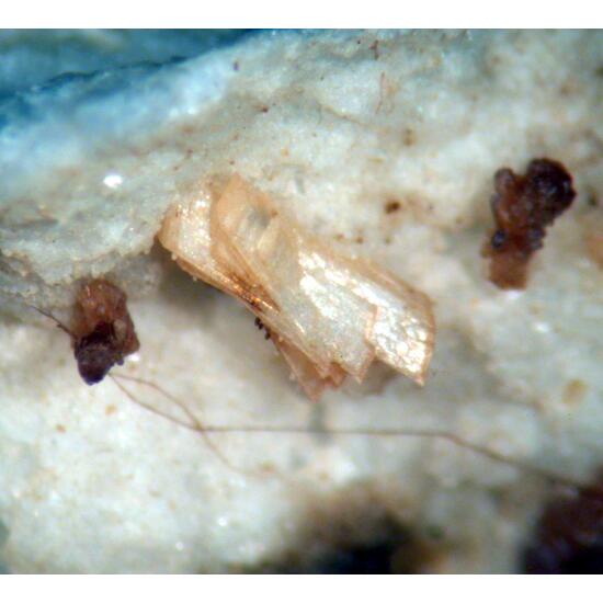 Gordonite & Jahnsite