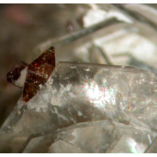 Muscovite Pennine Anatase & Monazite-(Ce)