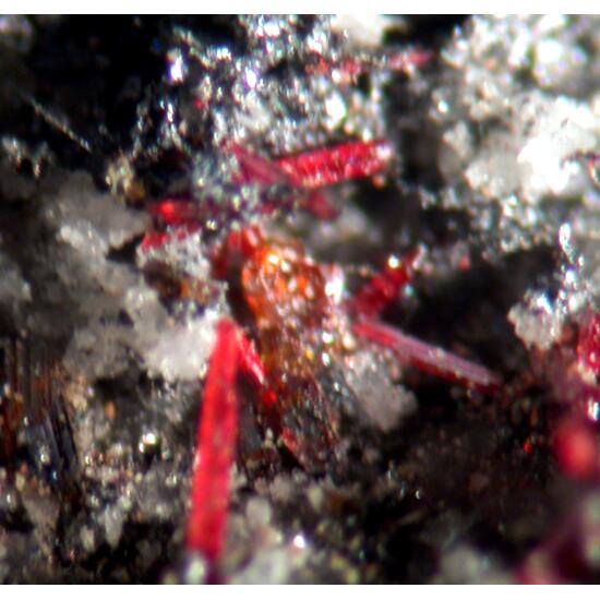 Xanthoconite Polybasite & Proustite