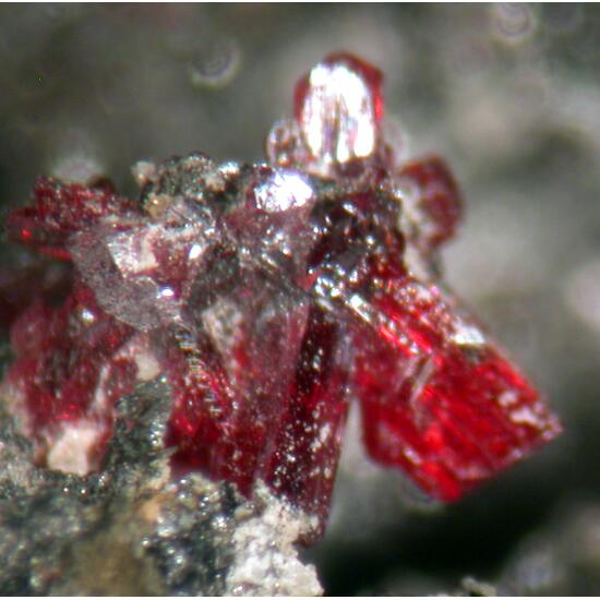 Acanthite & Proustite