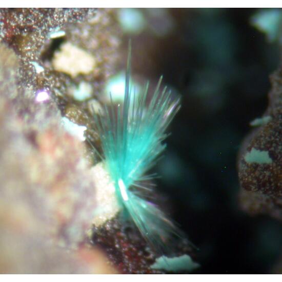 Copper Cuprite & Brochantite