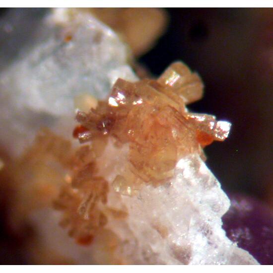 Jahnsite-(NaMnMg) Gordonite & Leucophosphite