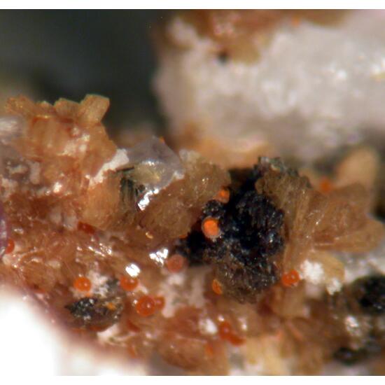 Jahnsite-(NaMnMg) Gordonite & Leucophosphite