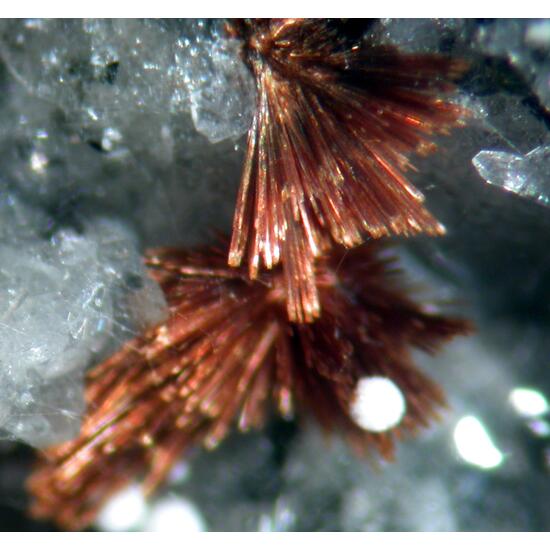 Tuperssuatsiaite & Ellingsenite