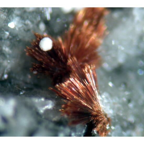 Tuperssuatsiaite & Ellingsenite