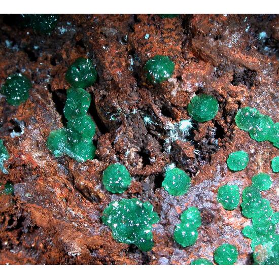 Adamite & Agardite
