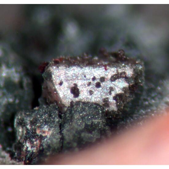 Hingganite-(Y) & Chlorite