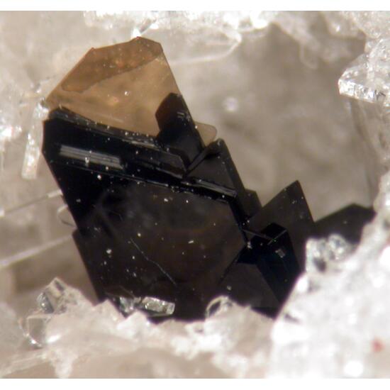 Phlogopite & Sanidine