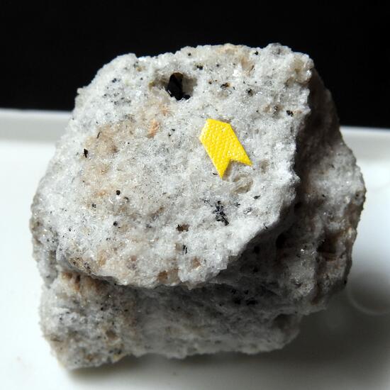 Phlogopite & Sanidine