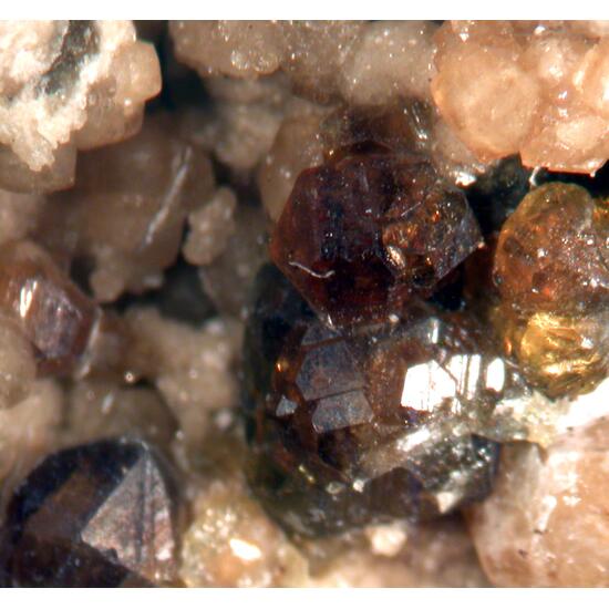 Franzinite & Vesuvianite