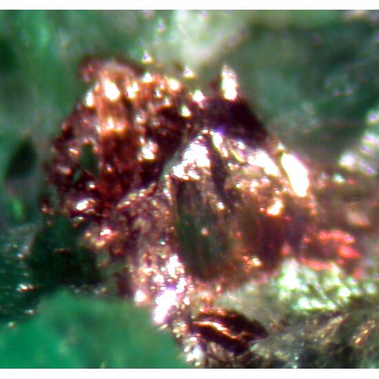 Schaurteite & Silver