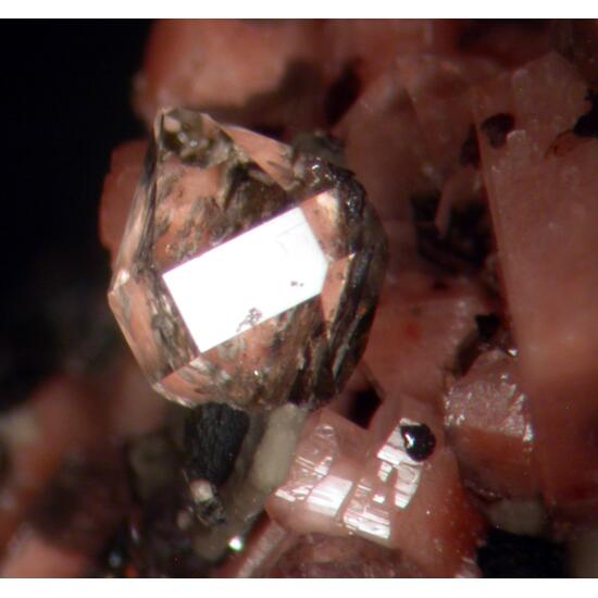 Aeschynite-(Y) Quartz & Clinochlore