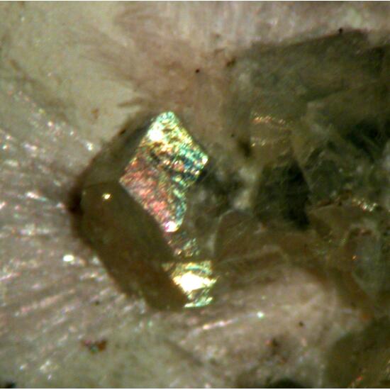 Andradite & Tremolite