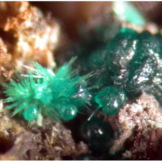 Goldhillite & Agardite