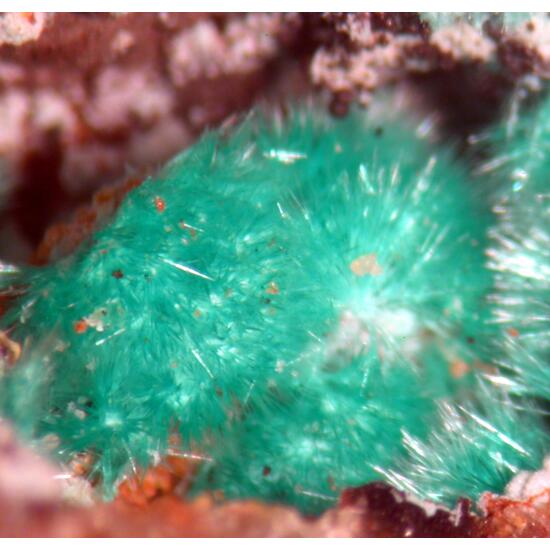 Goldhillite & Agardite