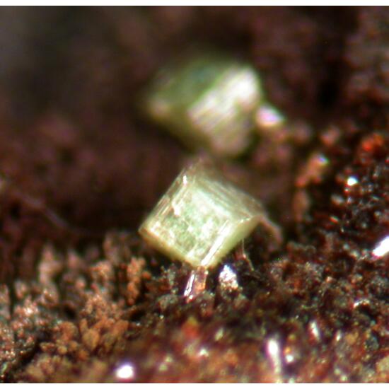 Autunite & Frondelite