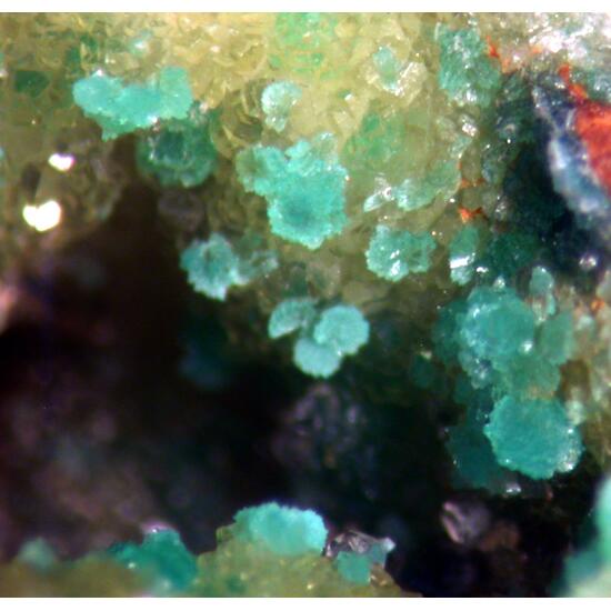 Turquoise & Variscite