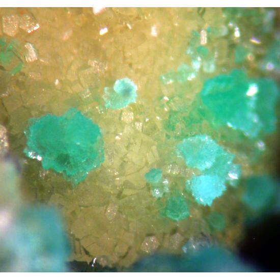 Turquoise & Variscite