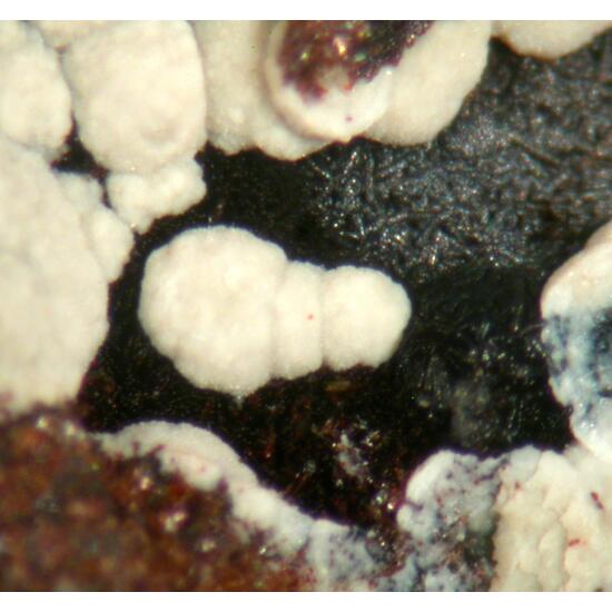 Chalcosiderite & Kidwellite