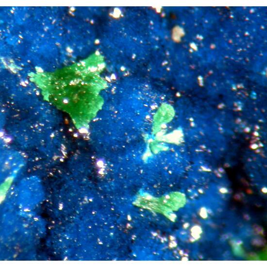 Cornetite & Malachite